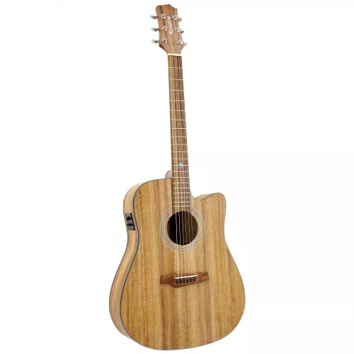 Randon RGI M1CE Randon RGI M1CE