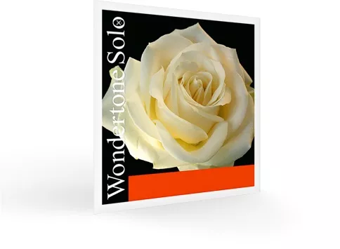 Pirastro Wondertone Solo z A Pirastro Wondertone Solo z A