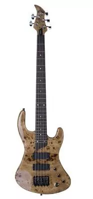 Esh Sovereign 5 PB Bassgitarre Esh Sovereign 5 PB Bassgitarre