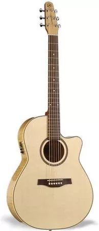 Seagull Performer Cw Folk Seagull Performer Cw Folk