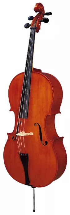 Strunal 4/17C 4/4 Strunal 4/17C 4/4