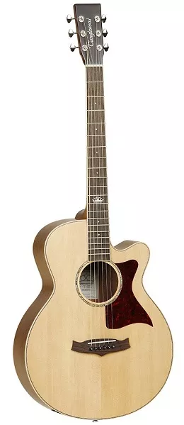 TANGLEWOOD TW145 SS CE TANGLEWOOD TW145 SS CE