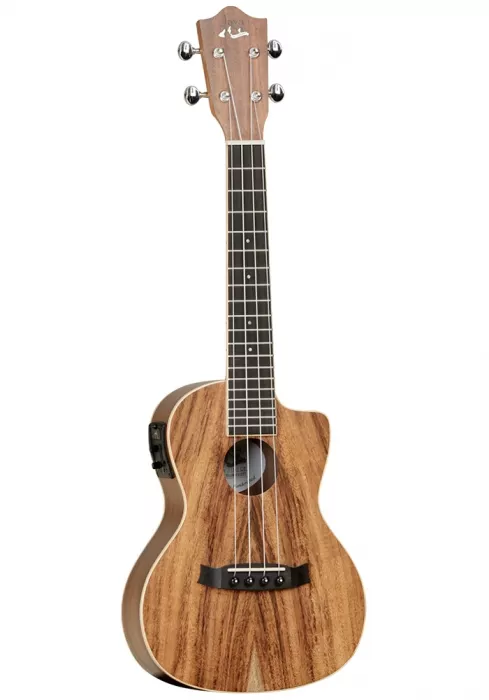 TANGLEWOOD TUJ2-CE TANGLEWOOD TUJ2-CE