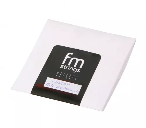 FM Strings Custom Saiten für E-Gitarre FM Strings Custom Saiten für E-Gitarre