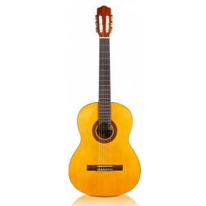 Cordoba Protege C1