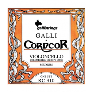 Galli Rc 310