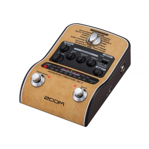 ZooM AC2