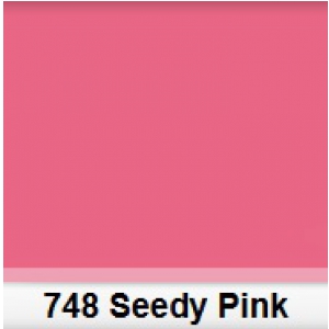Lee 748 Seedy Pink rose Farbfilter 50x60cm