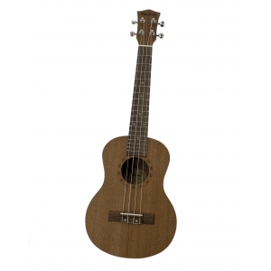 Fzone FZU-110T 26 Inch ukulele
