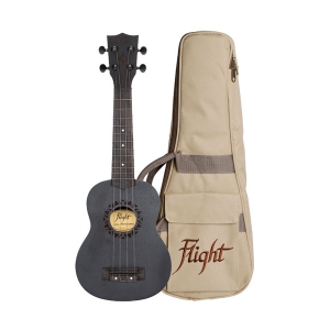 Flight Nus310 Blackbird