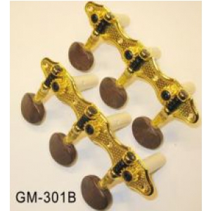 Akmuz GM301B