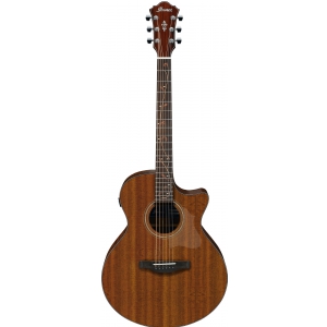 Ibanez AE295-LGS