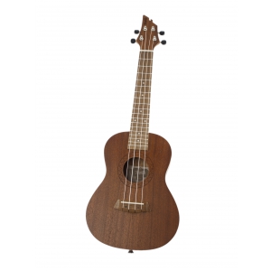 FLYCAT-C10C