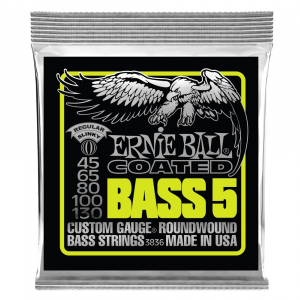 Ernie Ball 3836