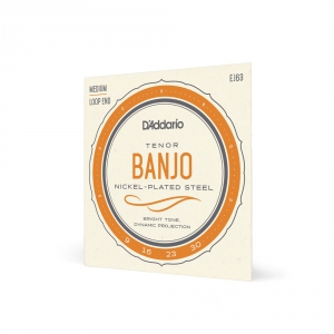 D #8242;Addario J 63 Saiten für Banjo