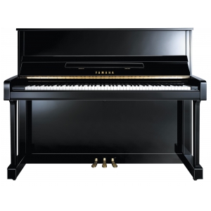 Yamaha b3 E PE Piano