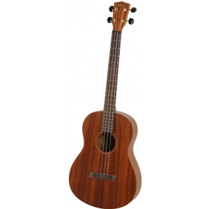 Richwood UK 250 B