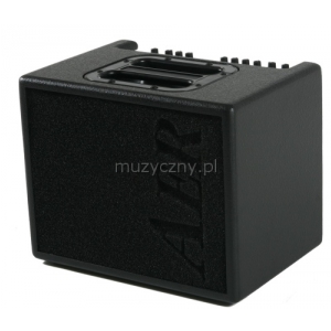 AER Compact 60 II Verstrker
