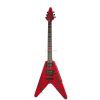 Epiphone Jeff Waters Annihilation II Flying V Outfit