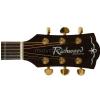 Richwood RD22 CE Westerngitarre (mit Tonabnehmer)