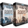 Toontrack Sdx Roots Bundle