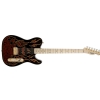 Fender James Burton Telecaster ML Red Paisley E-Gitarre