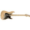 Fender American Pro Stratocaster Maple Fingerboard, Natural