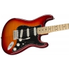 Fender Player Stratocaster Plus Top MN E-Gitarre 