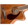 Fender PM-3 Triple-0, Ovangkol Finberboard, All-Mahogany Westerngitarre + Koffer
