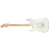 Fender Player Stratocaster PF PWT E-Gitarre 