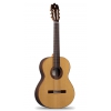 Alhambra Iberia Ziricote klassische Gitarre 