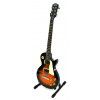Epiphone Les Paul 100 VS E-Gitarre