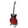 Washburn HB30DL-AM E-Gitarre