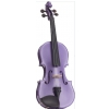 Stentor 1401LPA Violine 4/4 Harlequin 