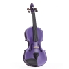 Stentor 1401DPA Harlequin 4/4 violin, purple
