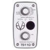 EVE Audio TS110 aktiver Subwoofer