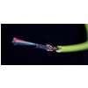 DJ TECHTOOLS Chroma Cable kabel USB-C (czerwony)