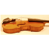 Strunal Ravenna 920A Violine 4/4