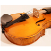 Strunal Ravenna 920A Violine 4/4