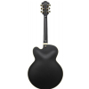 Ibanez AF75G-BKF Black Flat E-Gitarre