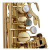 P.Mauriat LeBravo 200 Alt-Saxophon (plus Koffer)