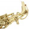 Roy Benson AS-302 Alt Saxophon