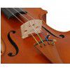 Carlo Giordano VS-2 skrzypce 4/4 Satz /Set