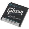 Gibson SMG BMS Bill Monroe Saiten