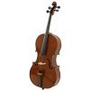 Strunal 4/17WE Academy Salzburg 4/4 Cello