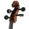Strunal 4/17WE Academy Salzburg 4/4 Cello