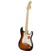Fender American Special Stratocaster MN 2TSB