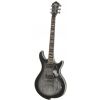 Ibanez DN 520 SSB Darkstone E-Gitarre