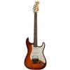 Fender Standard Stratocaster TBS  Plus Top with Locking Tremolo