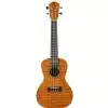Baton Rouge V4 C sun Konzert Ukulele